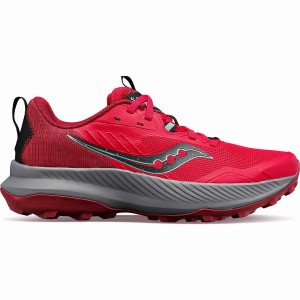 Saucony Blaze TR Női Terepfutó Cipő Rózsaszín Barna | Hungary S25801-M75