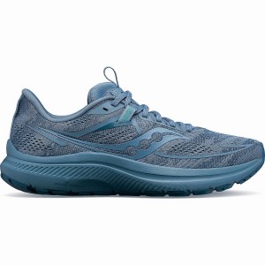 Saucony Omni 21 Férfi Futócipő Kék | Hungary S85037-L43