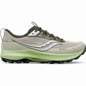 Saucony Peregrine 13 GTX Férfi Futócipő Dust / Umbra | Hungary S15782-B97