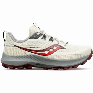 Saucony Peregrine 13 Női Terepfutó Cipő Bézs | Hungary S46178-Y02