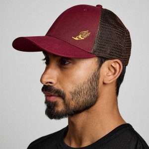 Saucony Trucker Női Kalap Piros | Hungary S28659-Z31